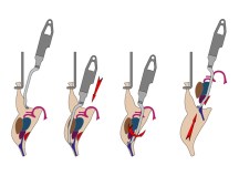 main maestro_process-1100x814